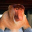 Useless Squealing Pig