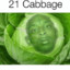 21 cabbage