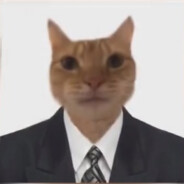 МЕСТНЫЙ ЦЫГАН