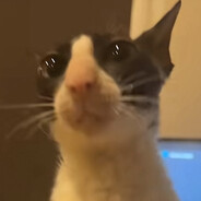 Tony Rigatoni's Avatar