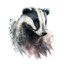 AlmightyBadger_