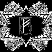 Бродячий кот