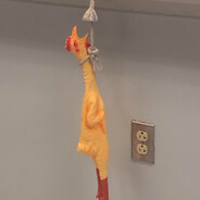 Hung Cock's Avatar