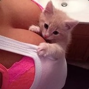 ШмонькаМусорная