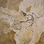 Archaeopteryx