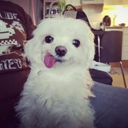 вбиликорочеетсу