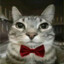 Pixler