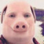 john pork