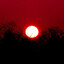 WhenTheSunSings