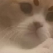 封神少年二驴子