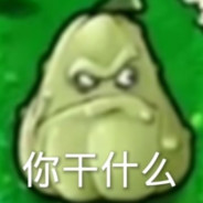 你我叙利亚自相逢！