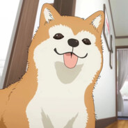 bro以为自己是波奇的狗