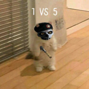 秋刀鱼也会过期