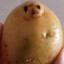 Dave The Potato