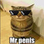 MR PENIS