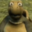 00