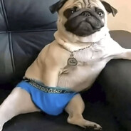 mops