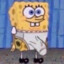 spongebulge