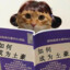 数学组宋老师