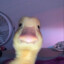 duckling_fllflflflfl