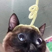 Аватар pls dont cry
