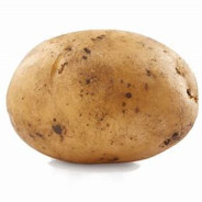 Potato