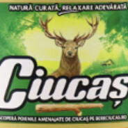 Ciucaş