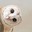 Oblivious Owl