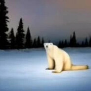 ВОДА ДЛЯ ОВЕЦ