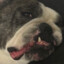 dazzlette&#039;s good boy