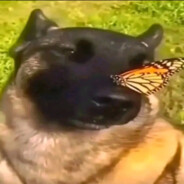 EbuNaChili - steam id 76561199438572828