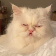 Ягодный Берсерк