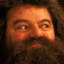 Hagrids Hairy Arse