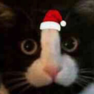 我们是好朋友吗