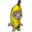 (banana cat)rohamARP