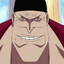 whitebeard