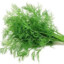 dill