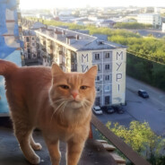 Пасмурное небо