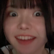 传奇贝斯珠颈斑鸠