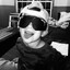 Maty