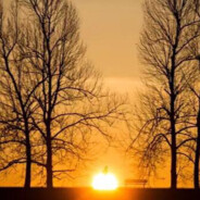 朱古力爱吃巧克力