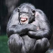 GOATED KUNKKA/YOU ARE NOOB