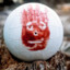 Wilson