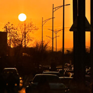 玛卡巴卡的可爱小脑子