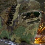Лиснай Кат avatar