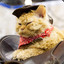 Cowboy Cat