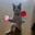 miau