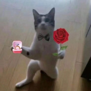 miau