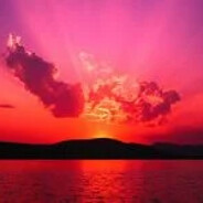 koira - steam id 76561199197058728