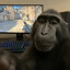 NED_844